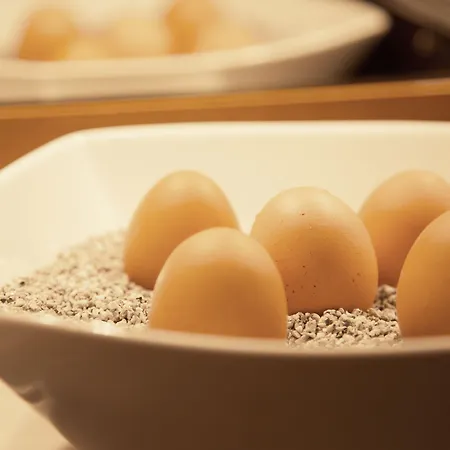 호텔 타운하우스 프랑크푸르트