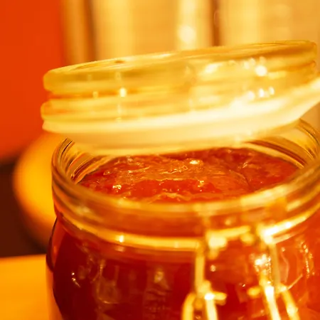 מלון Townhouse פרנקפורט